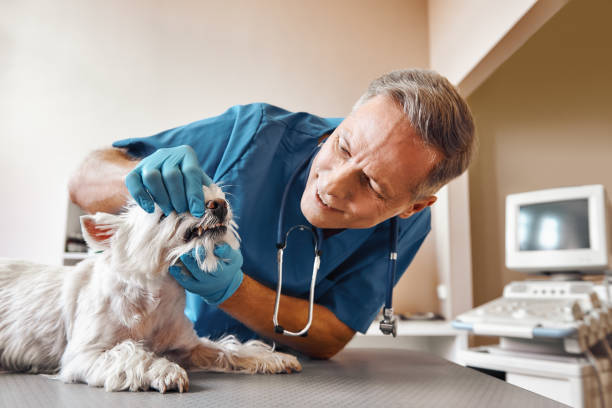 Best Emergency Care for Gum Disease in Manteo, NC